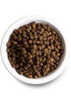 Open Farm Grain Free Catch of the Season Whitefish Dry Dog Food