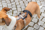 Trixie Panic Adapter Stay for Dog Harnesses