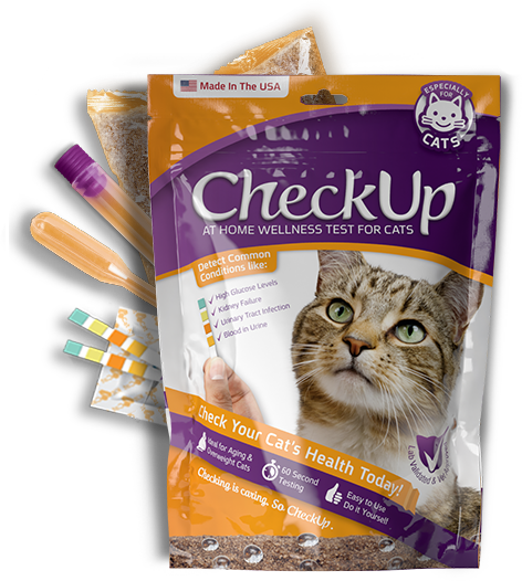CheckUp Kit Cat