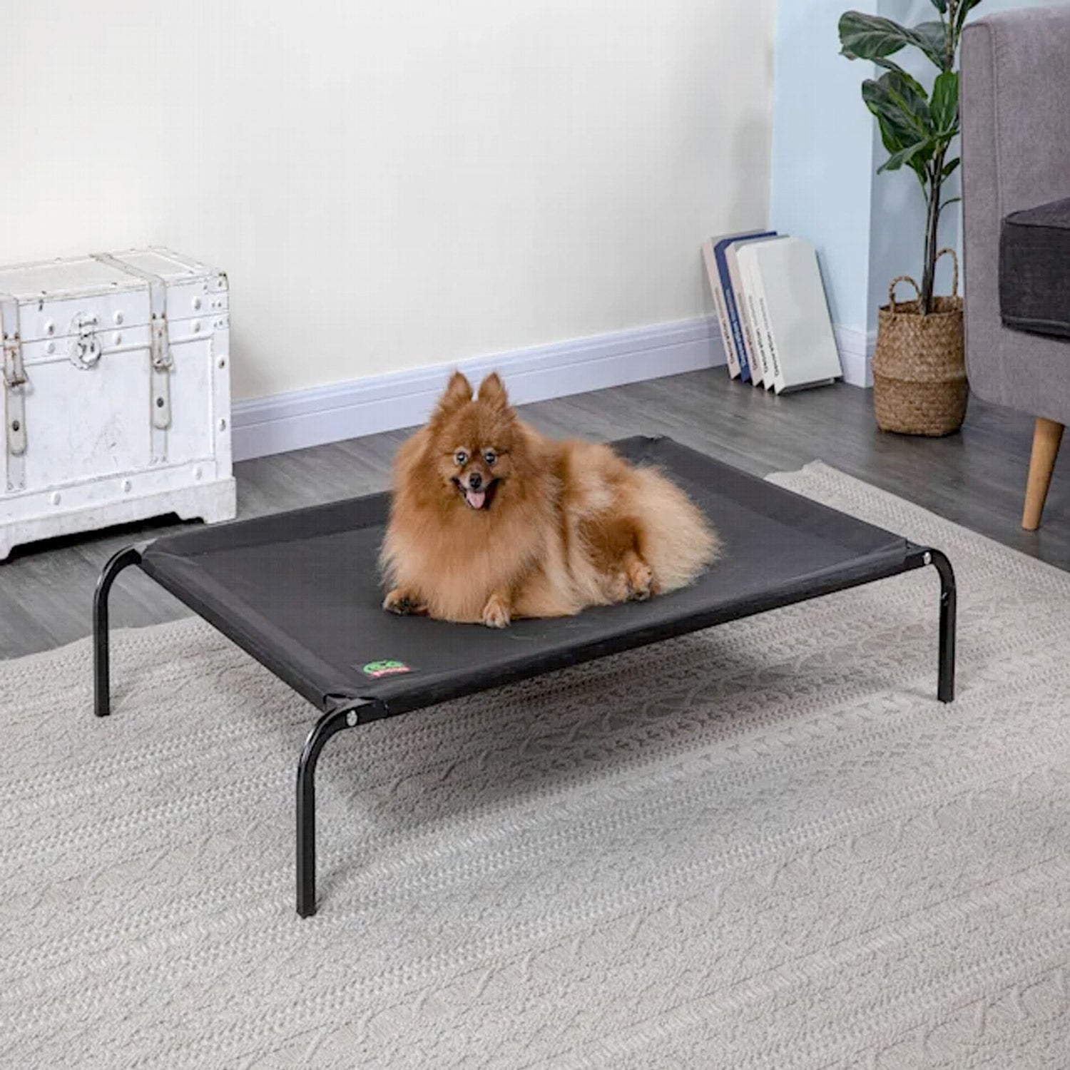 Elevated Cooling Pet Cot Bed (Available in 28Inch to 55Inch)