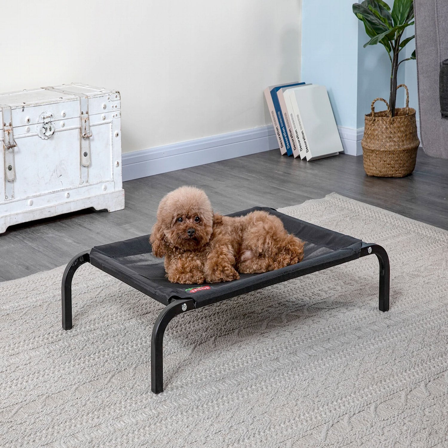 Elevated Cooling Pet Cot Bed (Available in 28Inch to 55Inch)