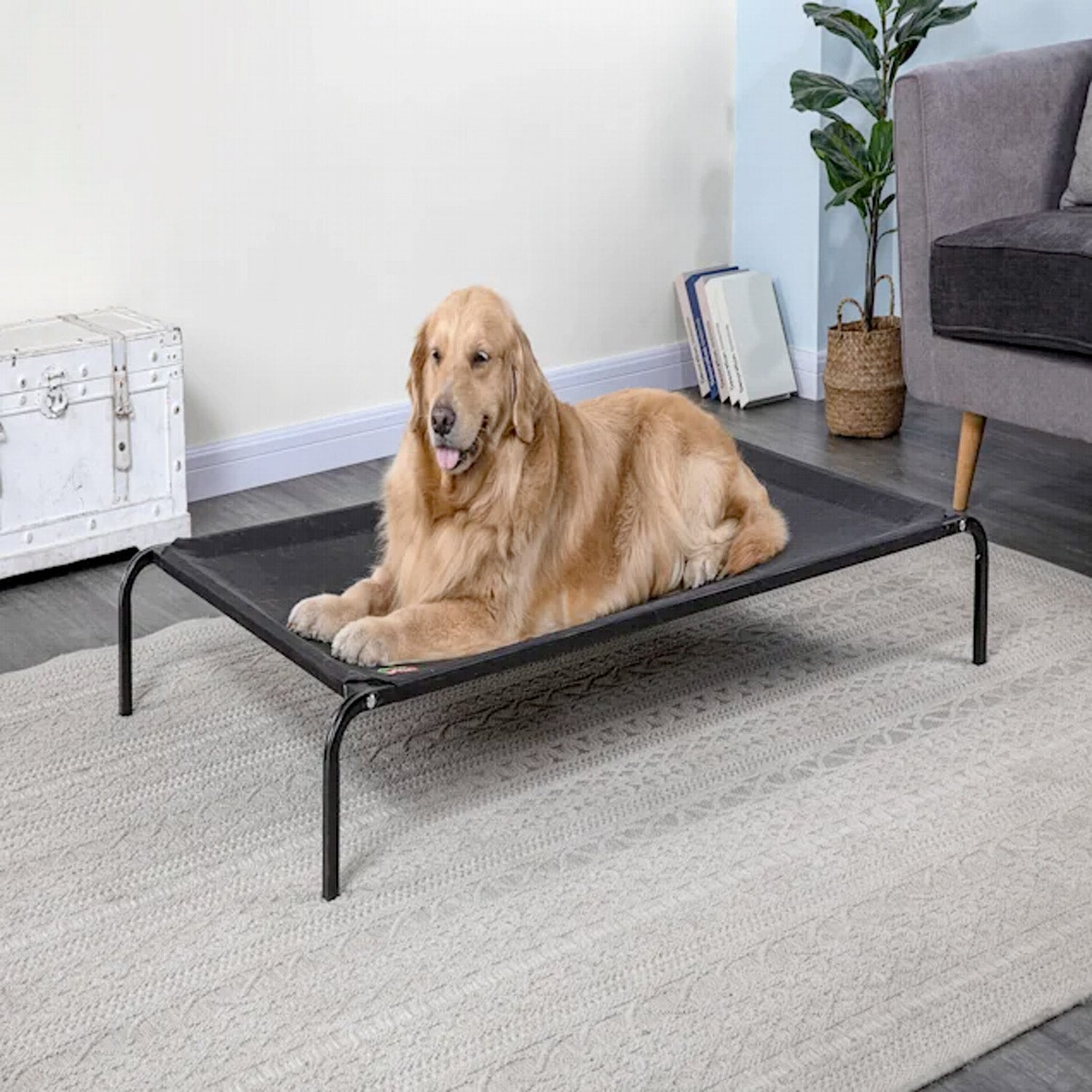 Elevated Cooling Pet Cot Bed (Available in 28Inch to 55Inch)