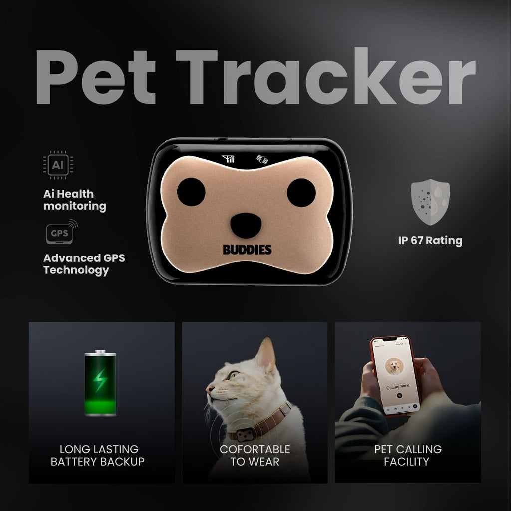 Buddies Pet GPS Tracker with AI Health Monitoring