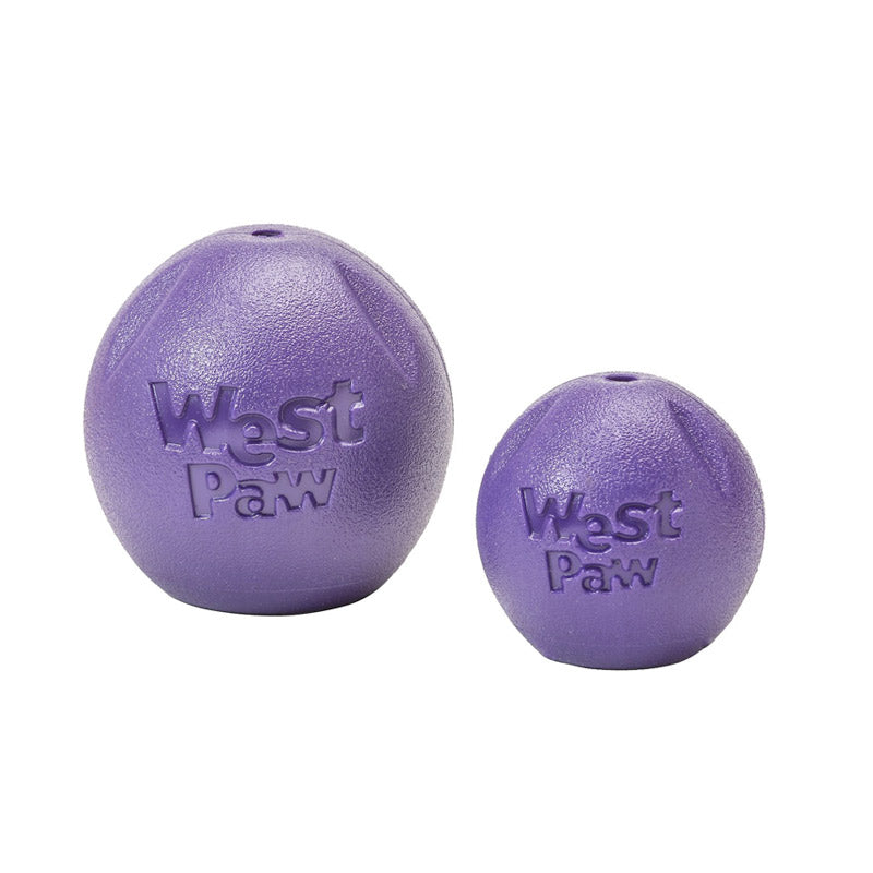 Rando Dog Toy