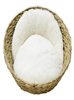 Green Basket
