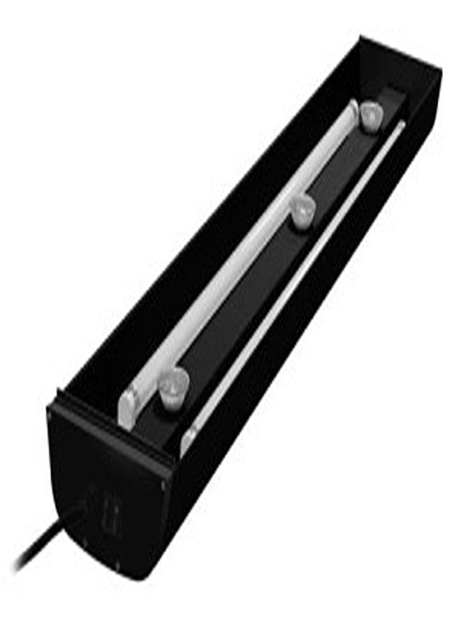 Dual Light Lighting System