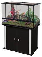 Glass Terrarium