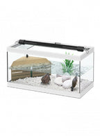 Tortum Turtle Tank