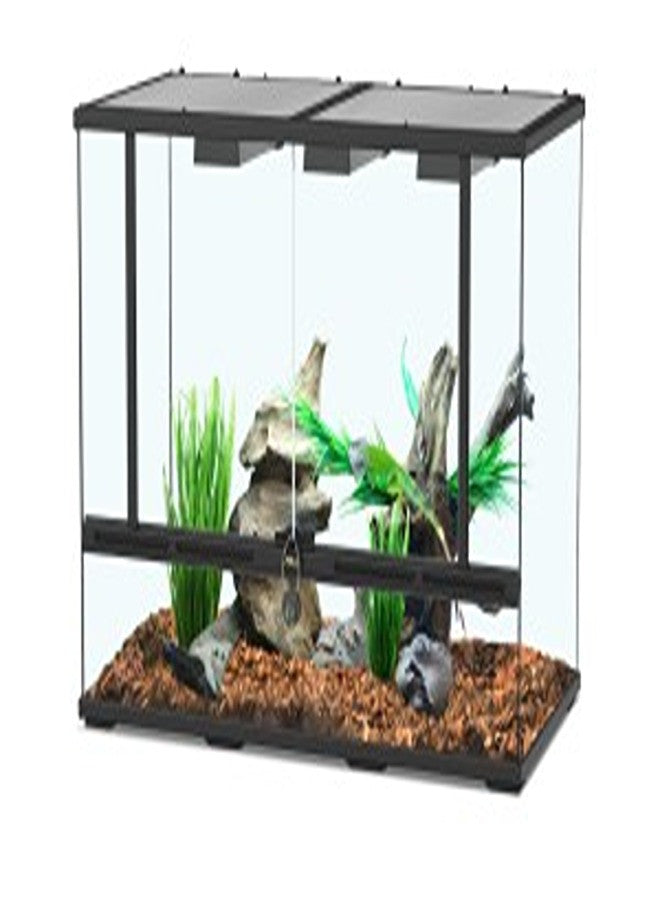 Glass Terrarium