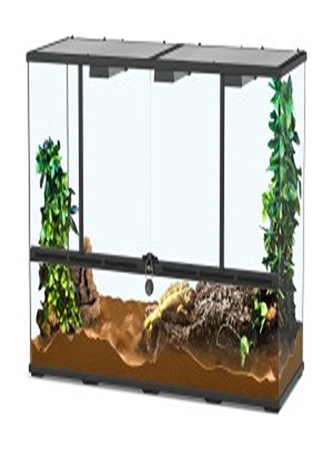 Glass Terrarium