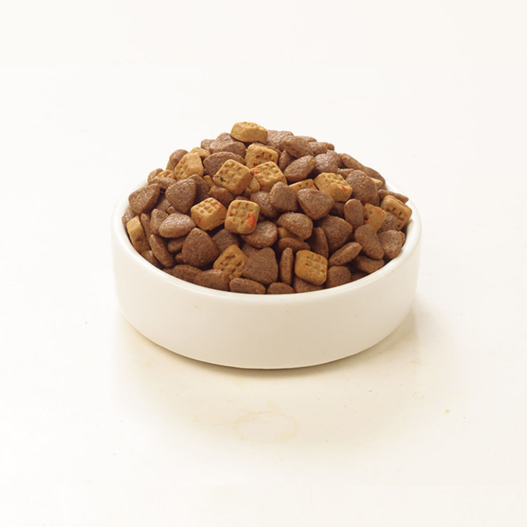 WANPY Grain Free Dog Salmon detail