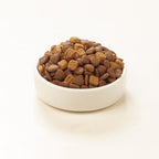 WANPY Grain Free Dog Salmon detail