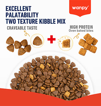 Wanpy Grain Free kibble detail
