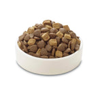 Wanpy Grain Free kibble and oven-baked bites in bowl