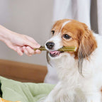Whimzees Soft Daily Dental Dog Treats Value Bag –  X Small (56 pcs)