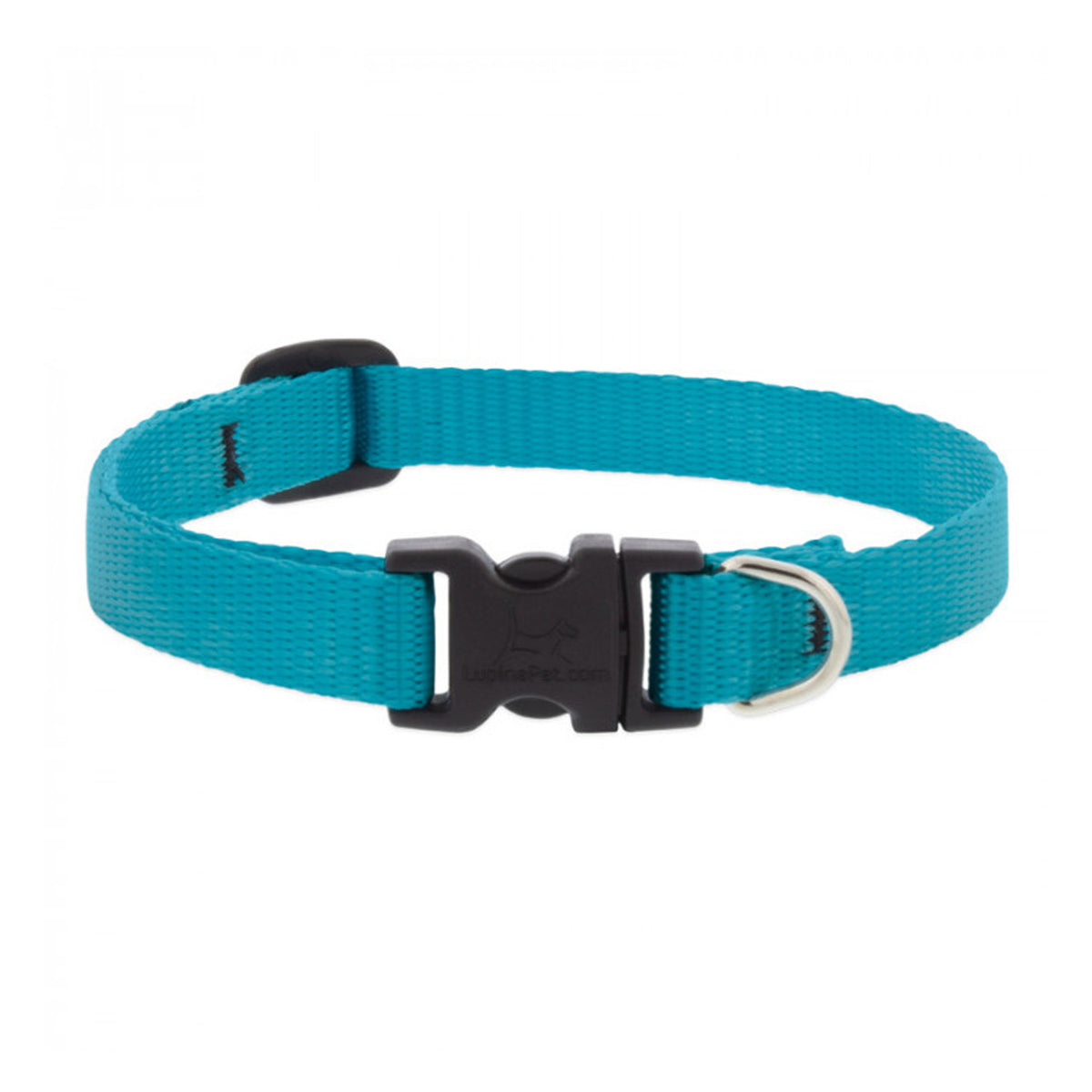BASICS Adjustable Collar AQUA 1/2″ FOR SMALL DOGS — 10"-16"