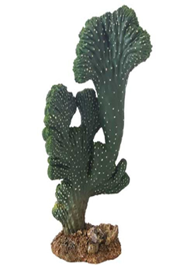 Cactus Victoria