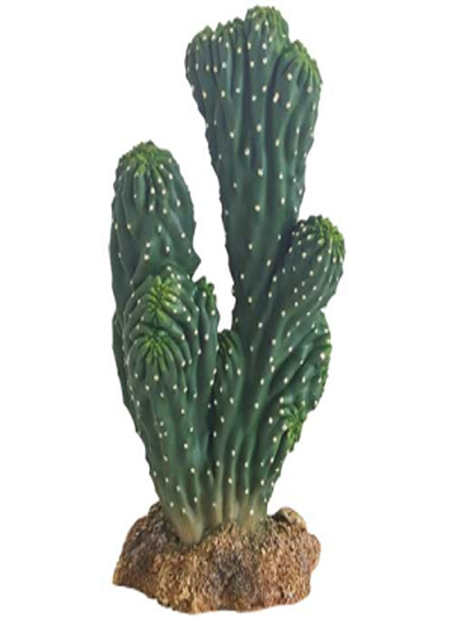 Cactus Victoria