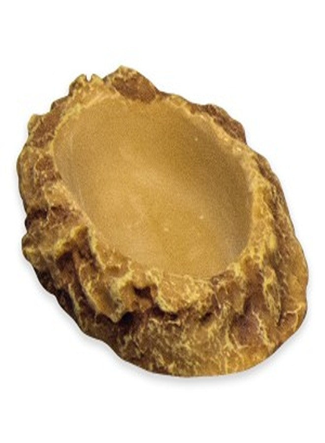 Flat Drinking Bowl