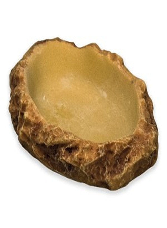 Flat Drinking Bowl