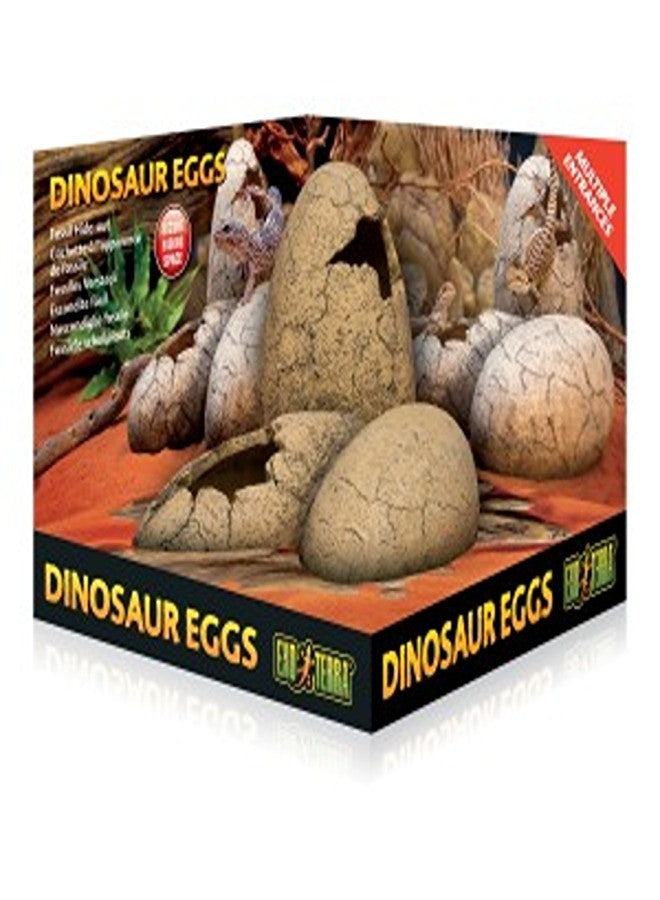 Exo Terra Dinosaur Eggs Fossil Hide Out