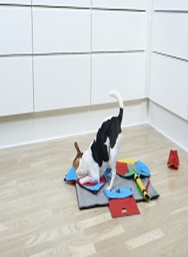 KRUUSE BUSTER ActivityMat Starter Set – 3 Activities – Dog Puzzle & Activity Toys