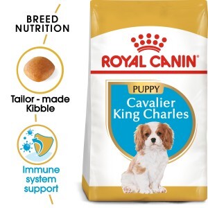 Dog Dry Food