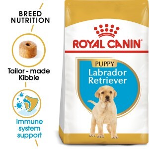 Breed Health Nutrition Labrador Puppy 12 kg