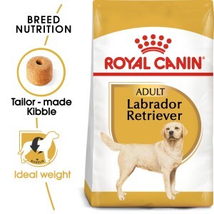 Breed Health Nutrition Labrador Adult