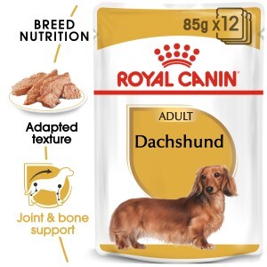 Breed Health Nutrition Dachshund Adult (Wet Food - Pouches) 12 x 85 g