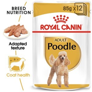 Breed Health Nutrition Pomeranian Adult 1.5 kg