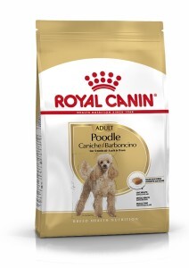 Breed Health Nutrition Poodle Adult 1.5 kg