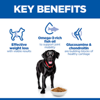 Hill’s Science Plan Perfect Weight & Active Mobility Large Breed Adult Dog Food with Chicken (12kg)