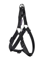 Access Harness