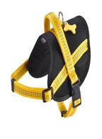 Easy Safe Harness