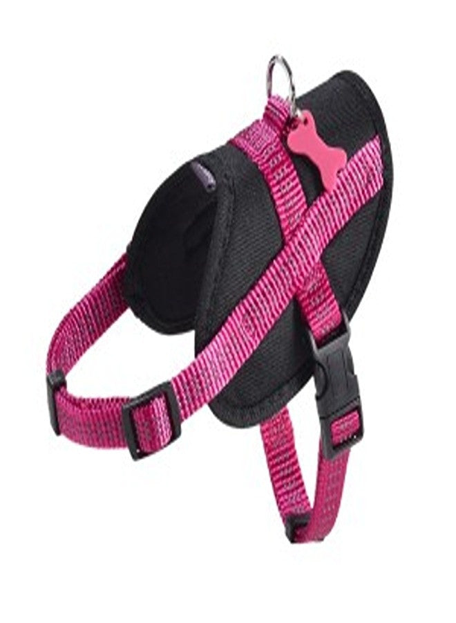 Easy Safe Harness