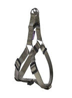 Access Harness