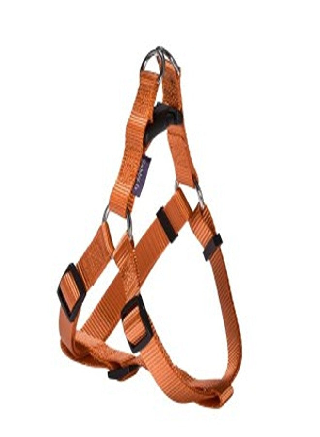 Access Harness