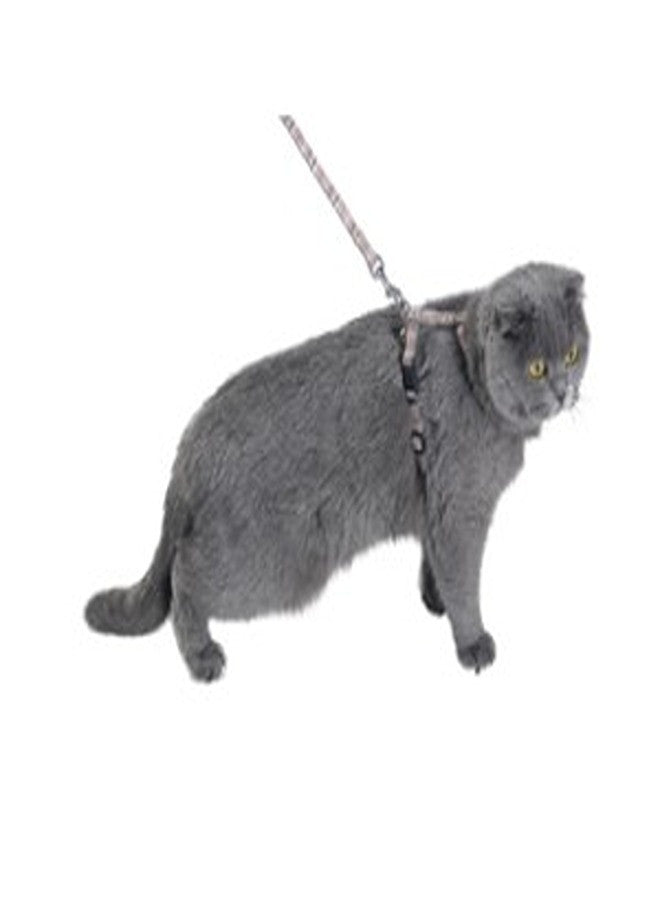 Kilt Cat Harness & Lead - Beige / XS