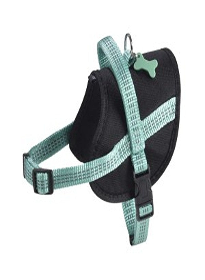Easy Safe Harness