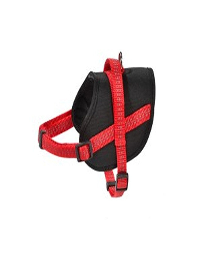 Easy Safe Harness - Red / L