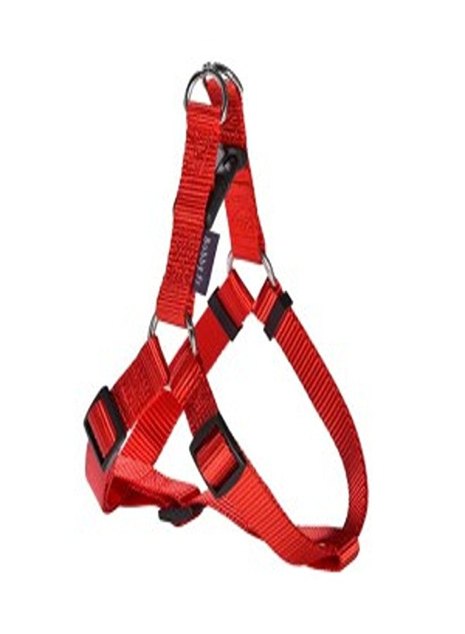 Access Harness