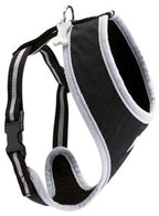 Arlequin Fancy Harness