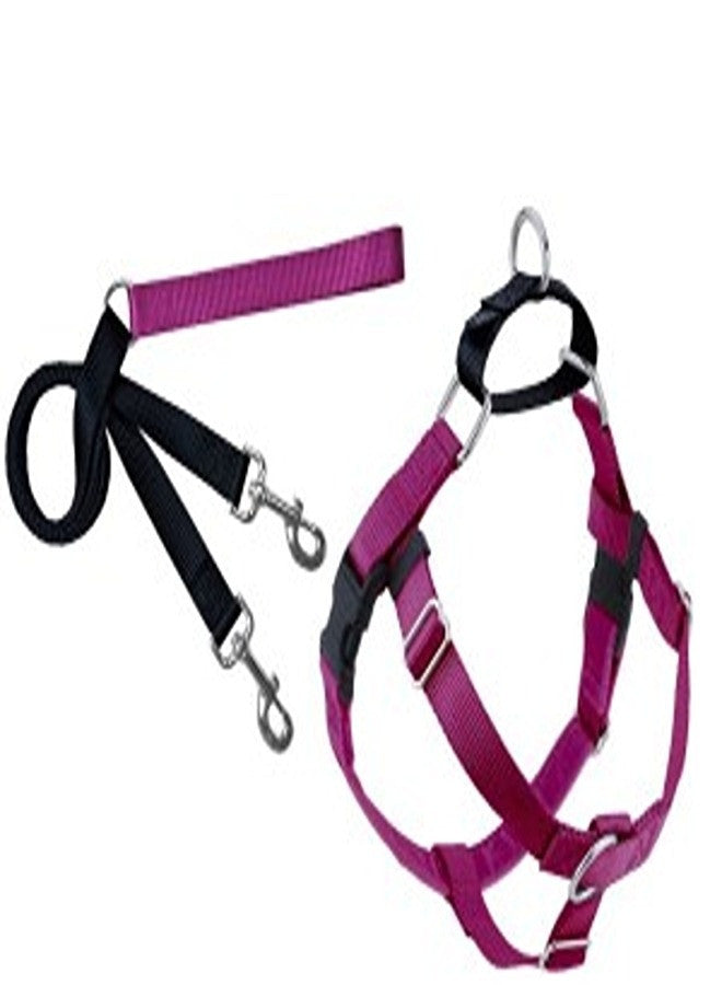Freedom No-pull Harness and Leash