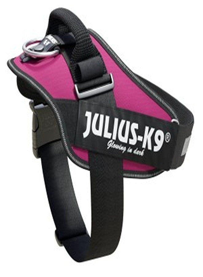 Idc Powerharness