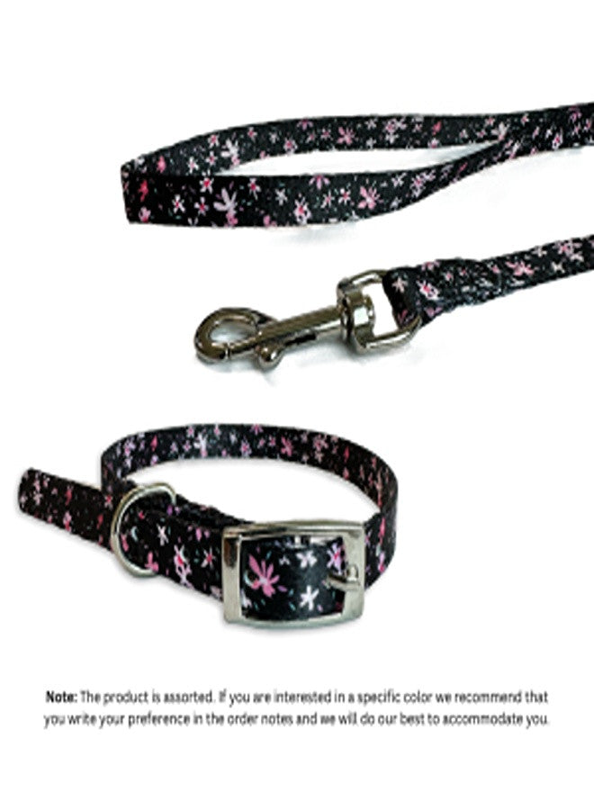 Daisy Nylon Set Dog Leash & Collar, Assorted Colors