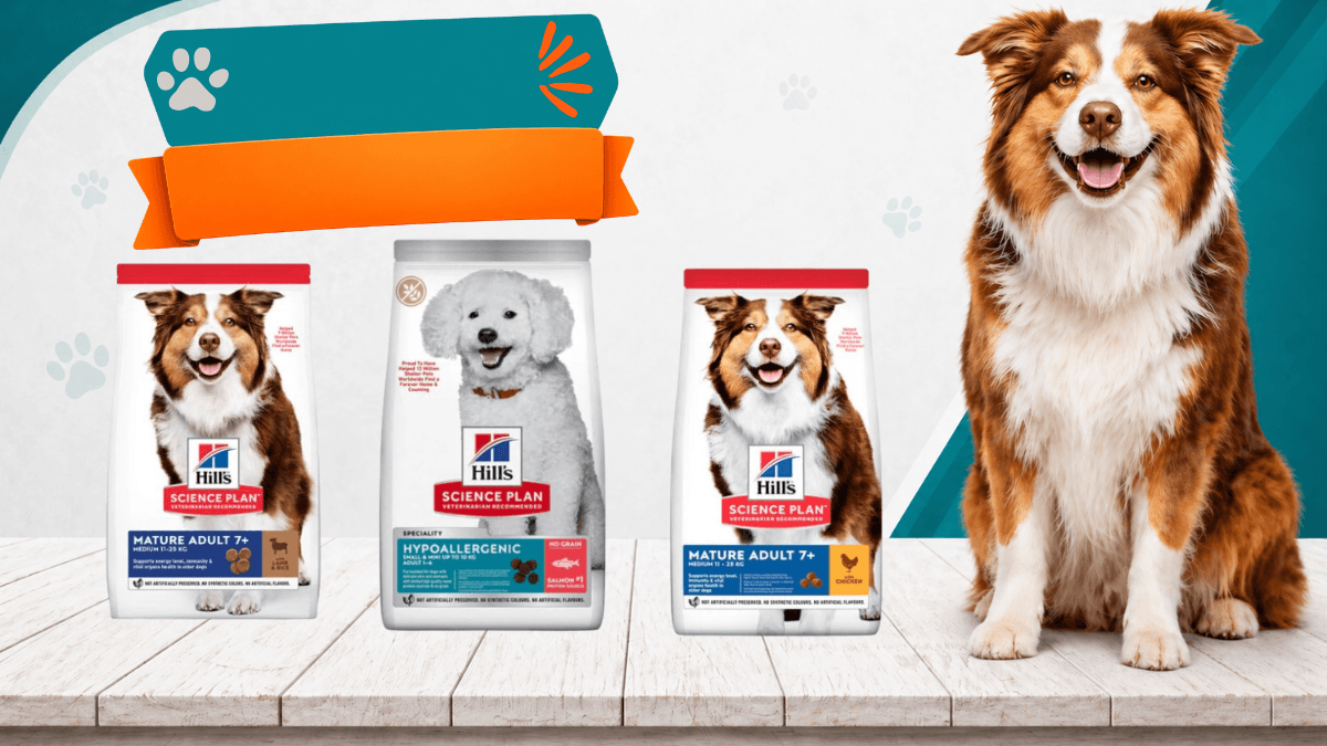 Dog Essentials Bundle
