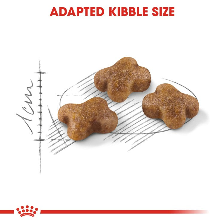 Royal Canin Feline Health Nutrition Kitten