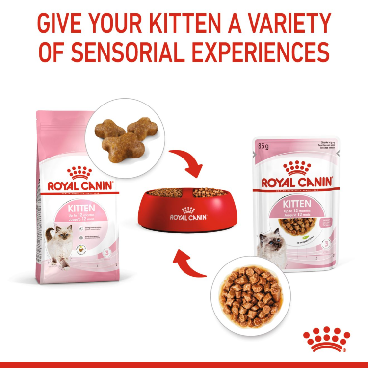 Feline Health Nutrition Kitten Gravy (Wet Food - Pouches) 12 x 85 g - 1 Box
