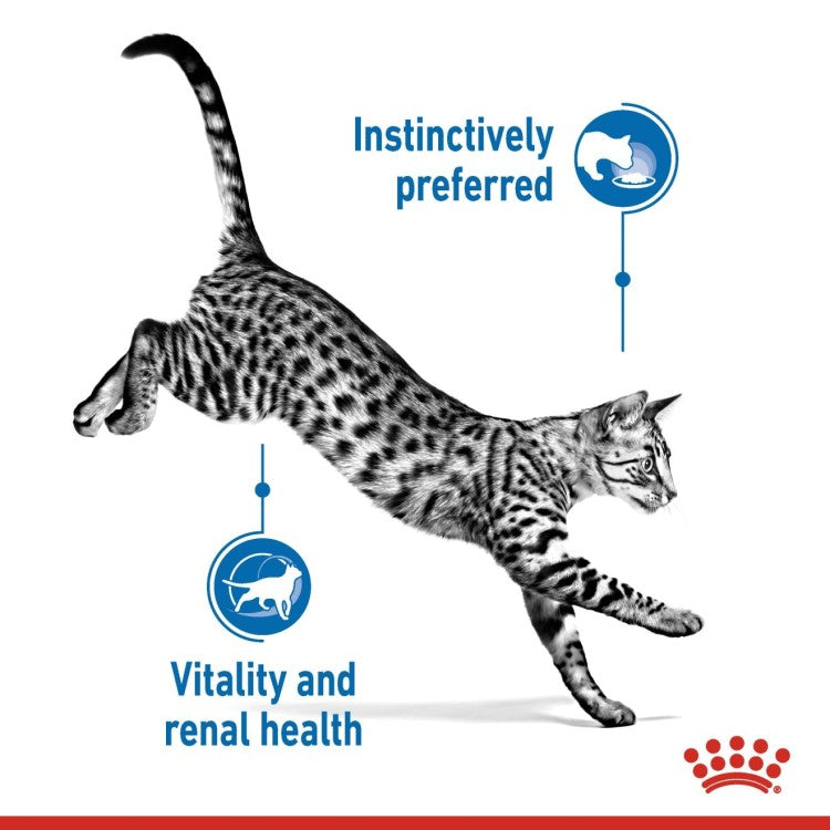 Royal Canin Indoor Sterilised In Gravy Cat Wet Food 85G - Pack of 12